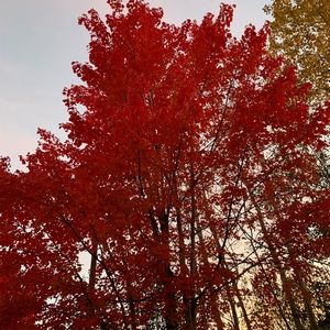 Meet your Posher, Nadia